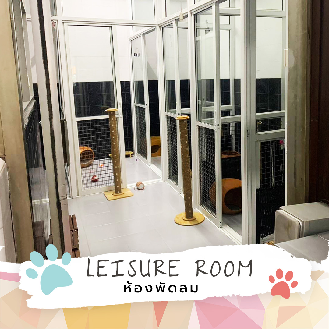 LEISURE ROOM