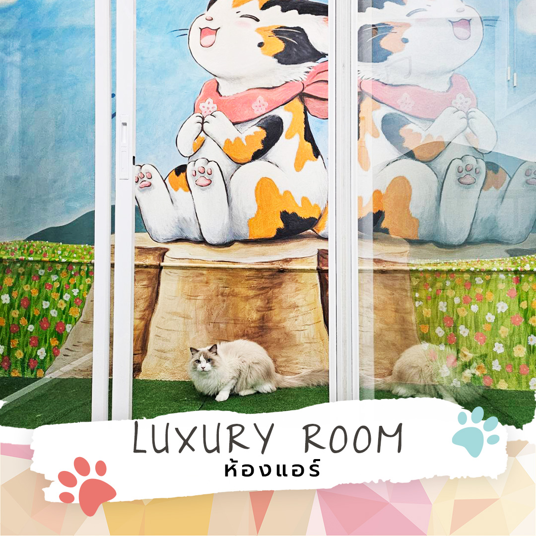 LUXURY ROOM