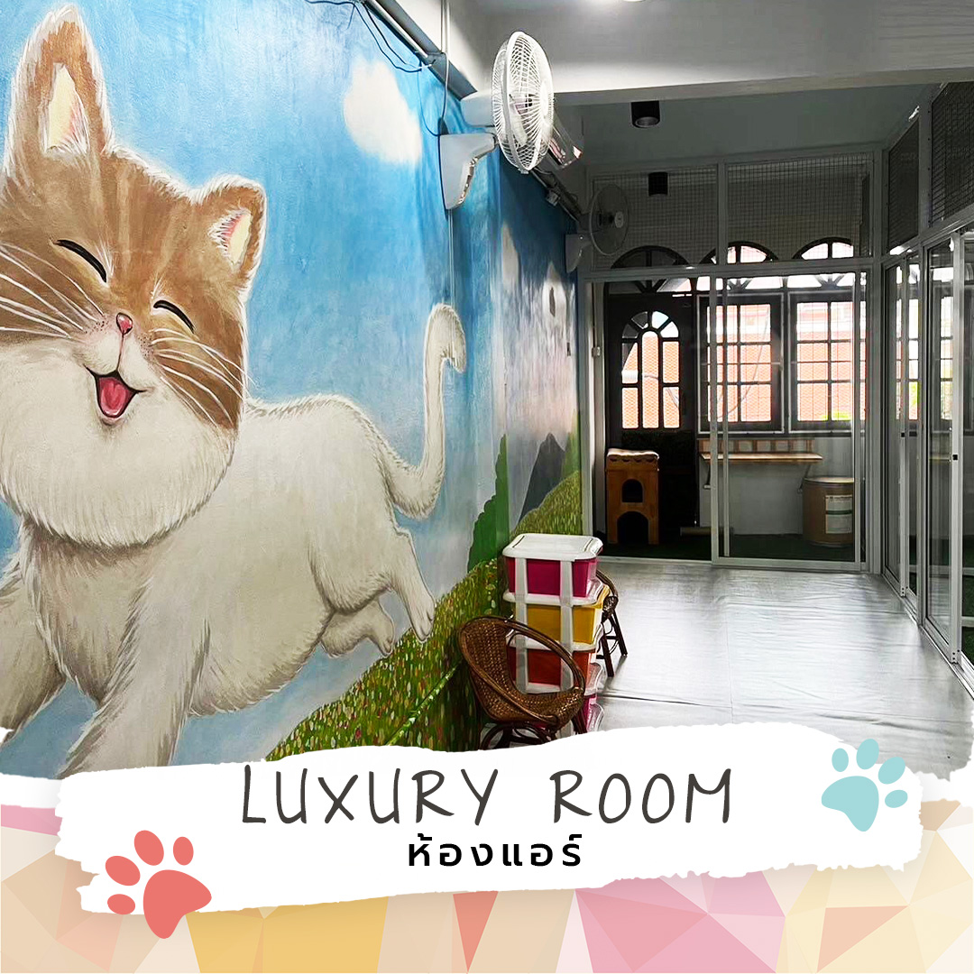 LUXURY ROOM